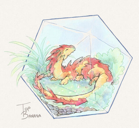 Terrarium dragon