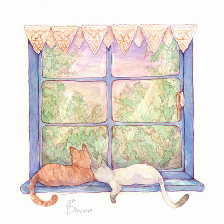 Cat Window