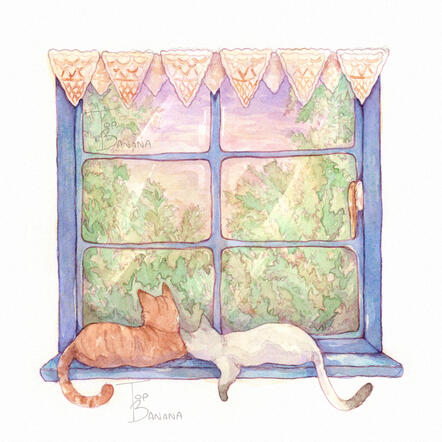 Cat Window