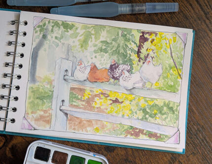 Chickens on a fence - watercolour study - 2025