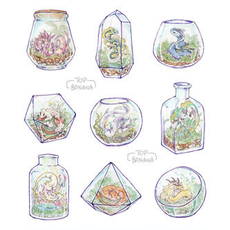 Terrarium Dragons - 2022